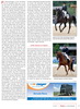 2012/14 - Pferde Sport International - Fritzens