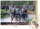 Czech Equestrian Federation Calendar 2006